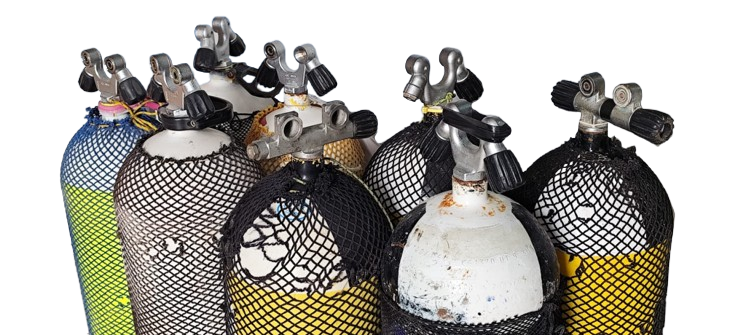 Proves periòdiques d'ampolles